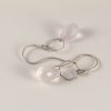 crystal drop earrings